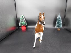 horse paint saddle front